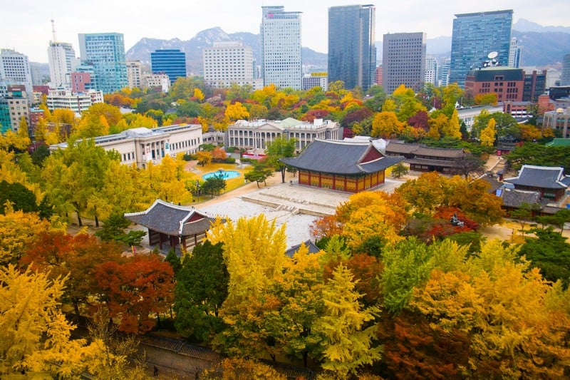 SEOUL - TP.HỒ CHÍ MINH	 				                                      (Ăn sáng) 
